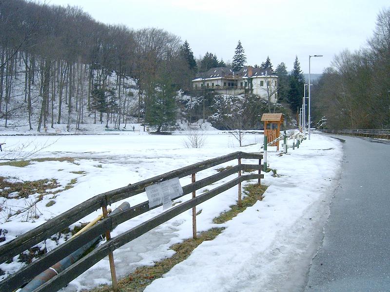 20110219 081.jpg